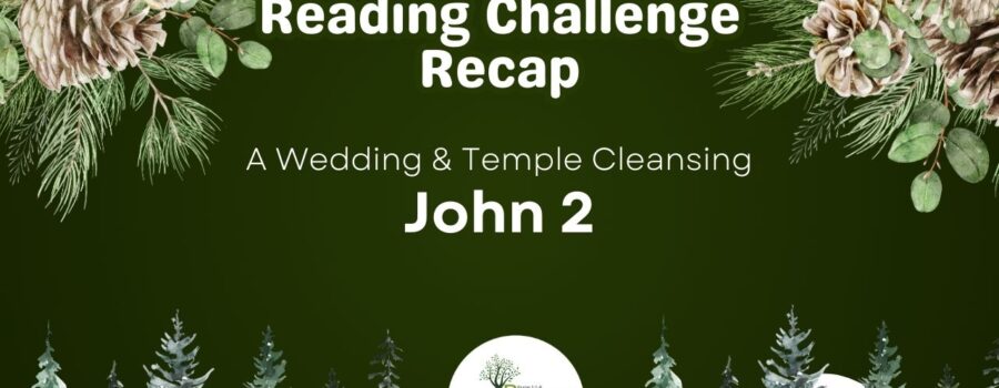 That Time Jesus Flipped the Tables | Reading Challenge Recap