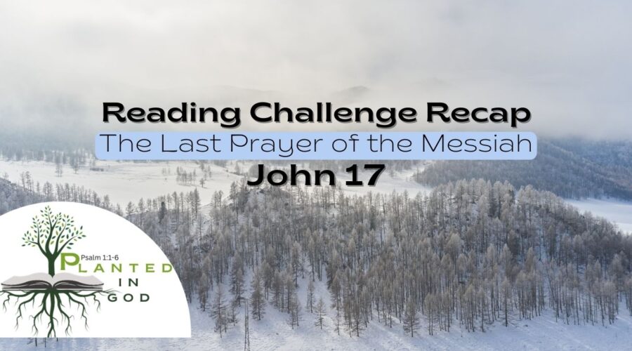 The High Priestly Prayer | John 17 | Reading Challenge Recap