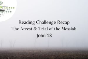 The Religious and Civil Trials of the Messiah | John 18 | Reading Challenge Recap