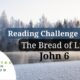 What does it mean to “eat His flesh”? | John 6 | Reading Challenge Recap