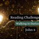 Jesus Demonically Possessed? | John 8 | Reading Challenge Recap